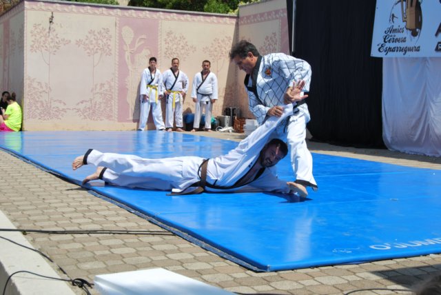 Hapkido